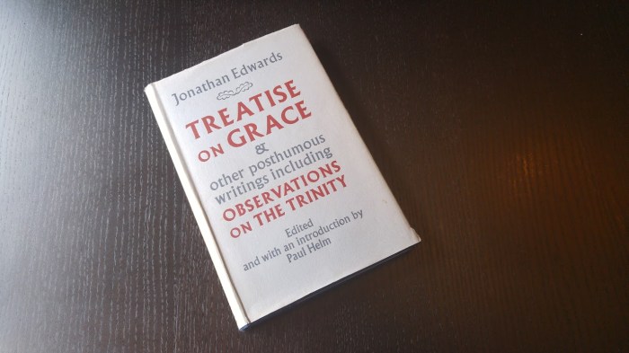 Jonathan Edwards Observations on the Trinity